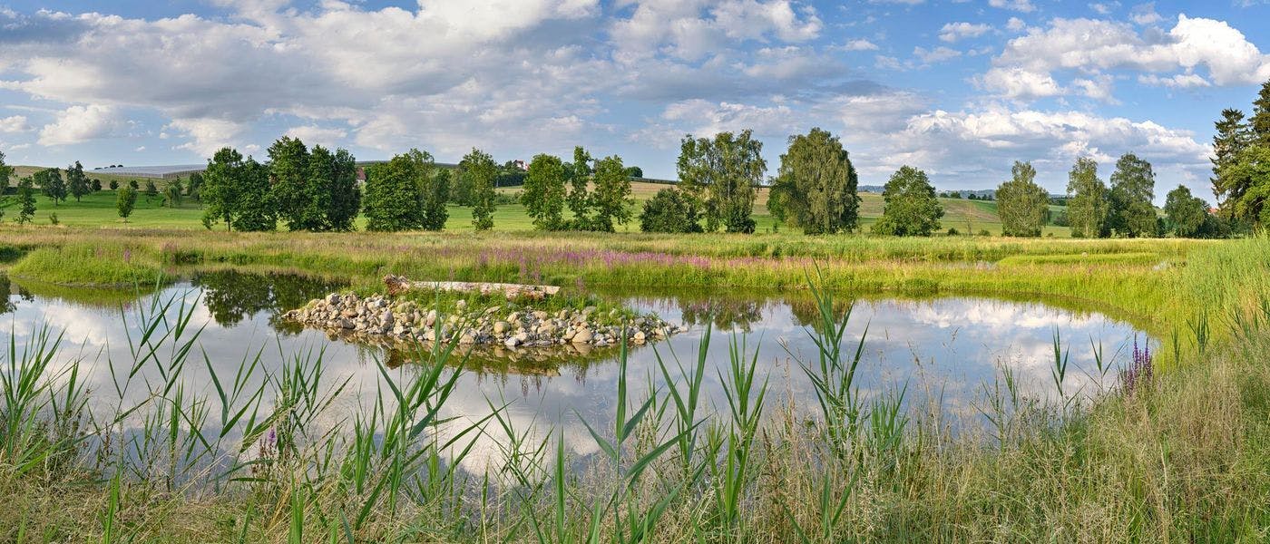 Sielmanns Biotopverbund Bodensee